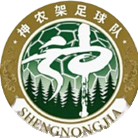 咸宁队