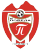 奥斯格维