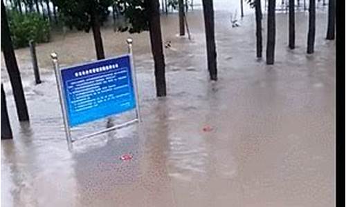 潍坊特大暴雨_山东潍坊大雨灾情